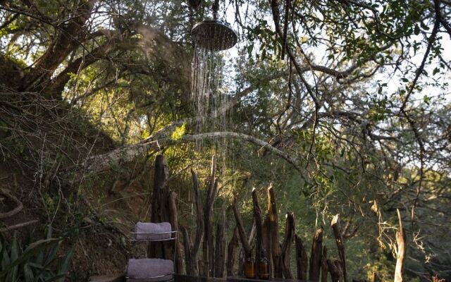 Stargazer Camp - Bellevue Forest Reserve