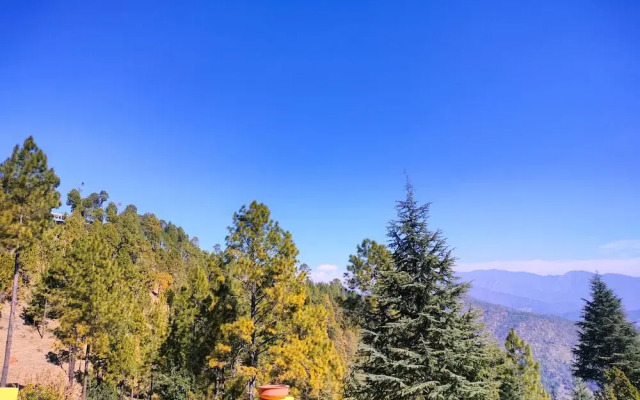 The Alpine Vista