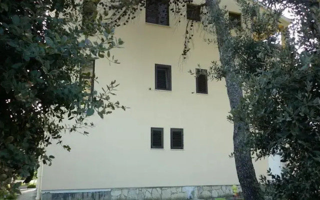 Apartments Zdenko