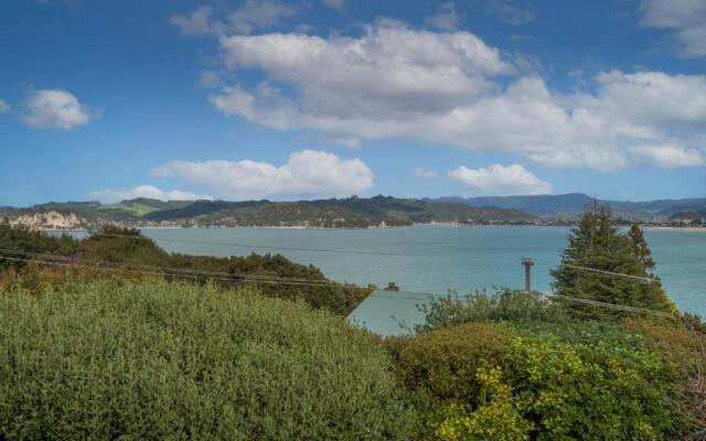 Hosts on the Coast Harbour Lights