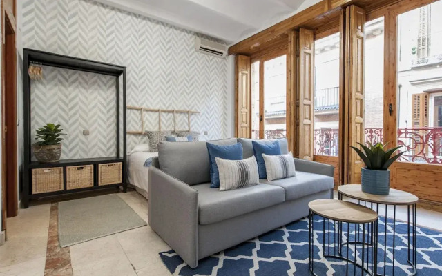 Apartamento Plaza Santa Ana I