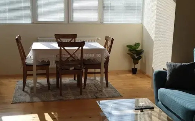 Sunny and Charming Domain for Your Stay in Sofia