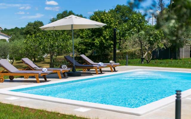 Pool Premium Apartment