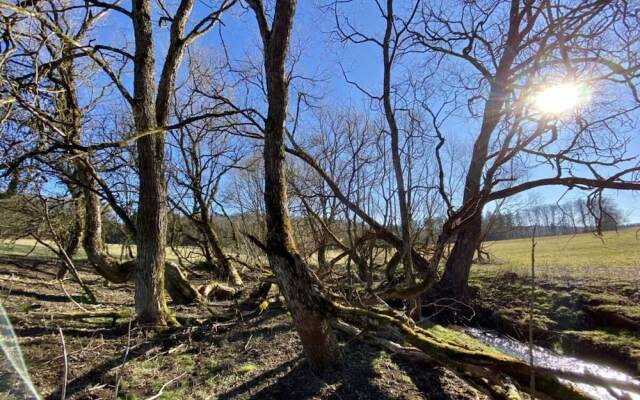 Holiday Home Eifelise