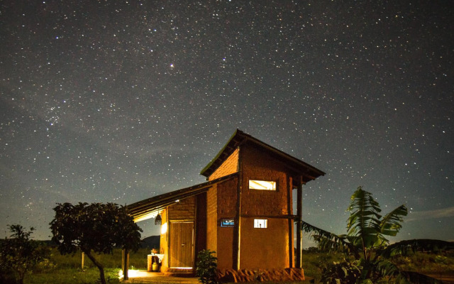Raizando Ecologia Humana
