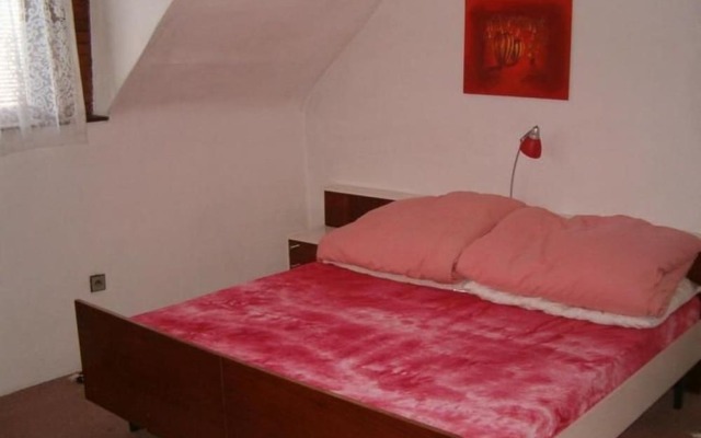 Villa in Bechyne With Private Pool and Sauna