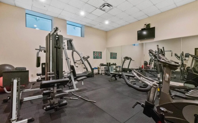 Amazing Views Of The City Downtown Vancouver