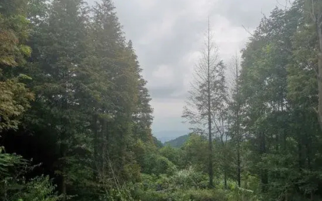 YunyiMountainHouse