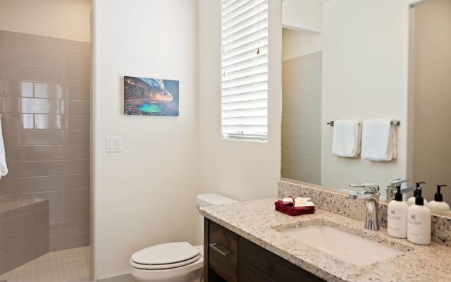 Arcadia #28 'ob-la-di'