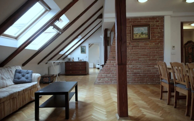 Generous Attic Apartment