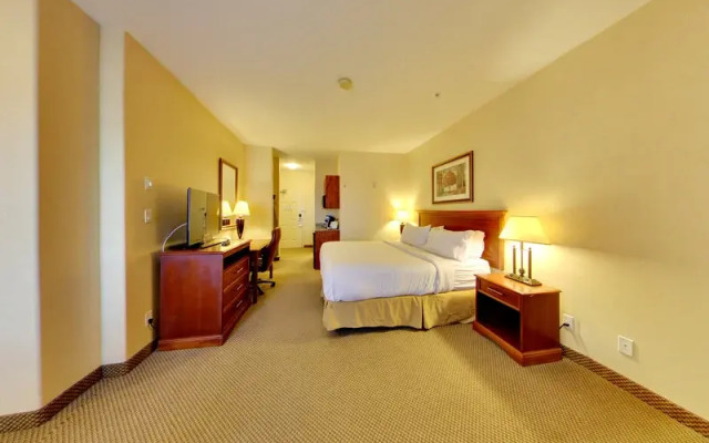 Holiday Inn Express Edmonton-International Airport