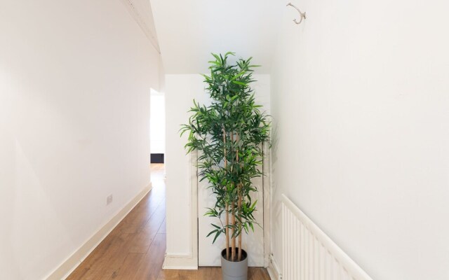 Z O Properties Notting Hill
