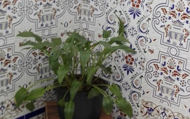 Hermoso Apartamento en Conil