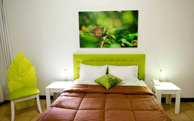Cocoon Hotel