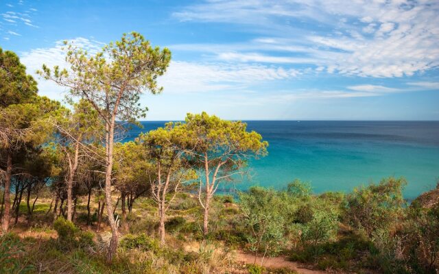 Residence Baia Delle Palme Nm1222