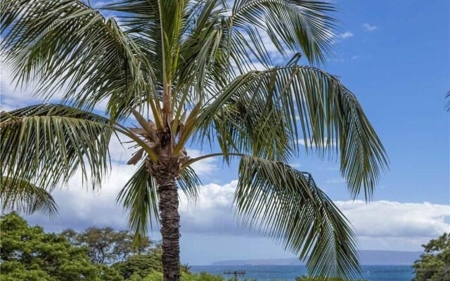 Maui Vista 3202
