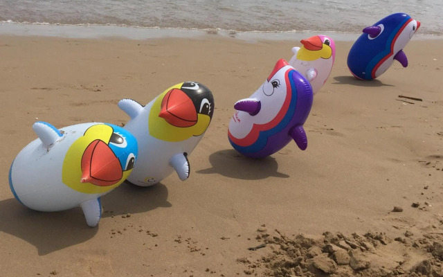 Seafront Dream Apartment