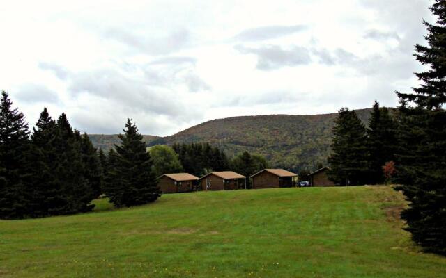 Cajun Cedar Log Cottages