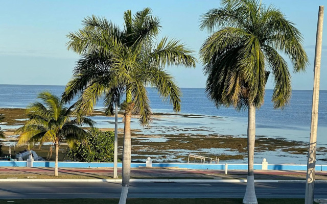 La casa del colibrí