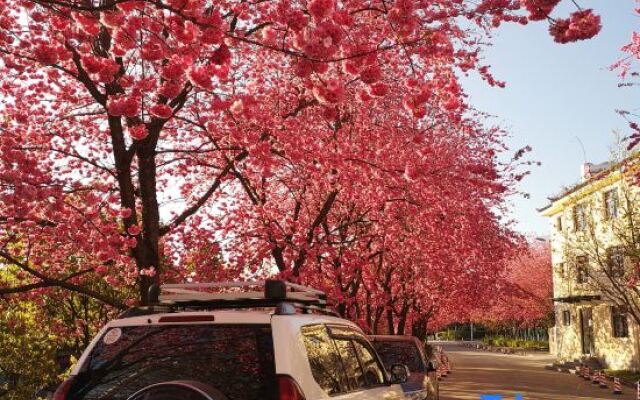 Shiduju Boutique Hotel