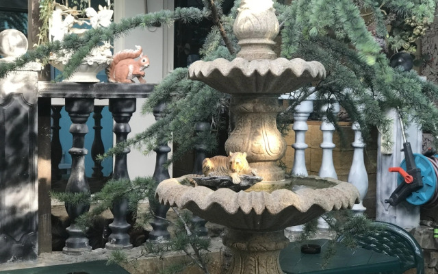 Magic Patio