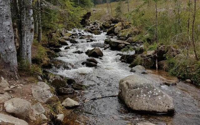 Gîte Saint-Bonnet-le-Courreau, 5 pièces, 6 personnes - FR-1-496-9