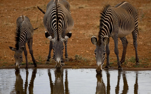 Samburu Sopa Lodge