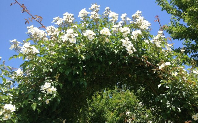 B&B Vento Di Rose