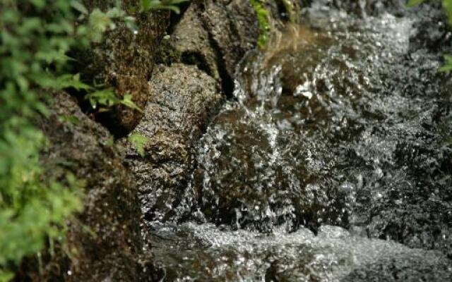 Magome Chaya