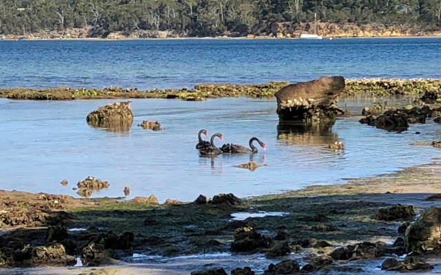 Snug Beach Cabin And Caravan Park