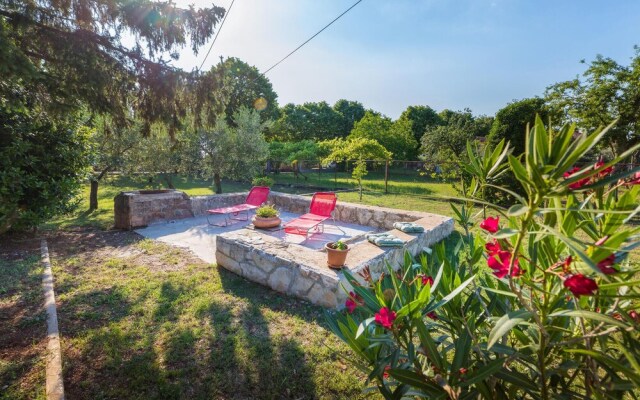 Nice Home in Vodnjan With Wifi and 2 Bedrooms