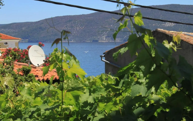 Apartments by the sea Valun, Cres - 8081