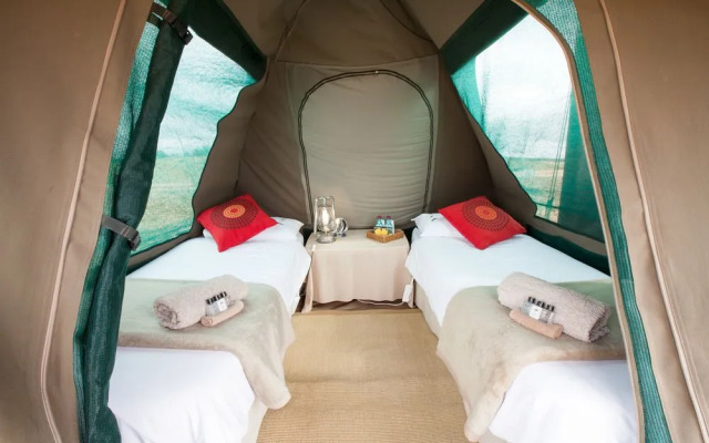 Chiefs - Namaqua Flower Camps