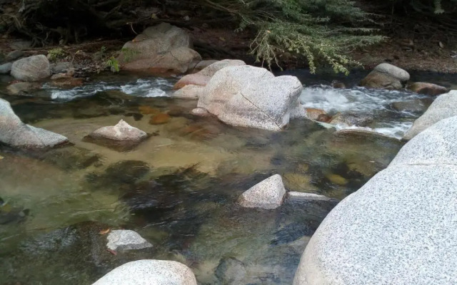 Tayrona Deep Forest Posadas