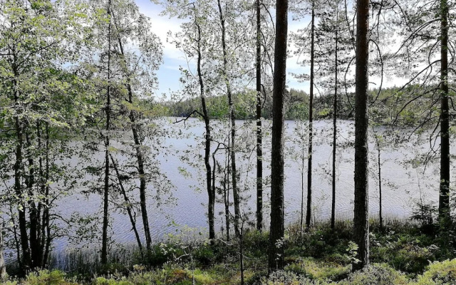 Salkolahti Minttu