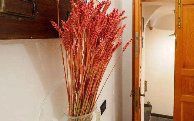 Macaia Rooms Vernazza