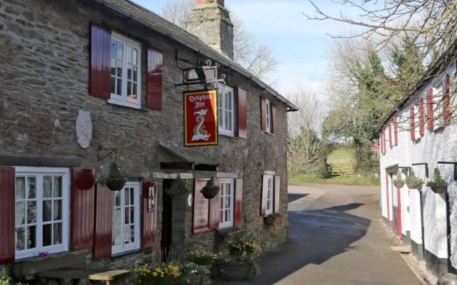 The Dolphin Inn