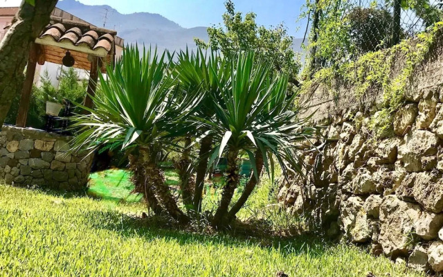 Cappuccini Green Relax