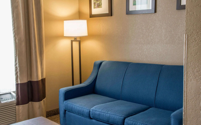 Comfort Suites New Braunfels - San Antonio Area