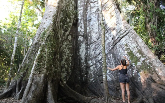 Pousada Cabana Nativa Paraíso