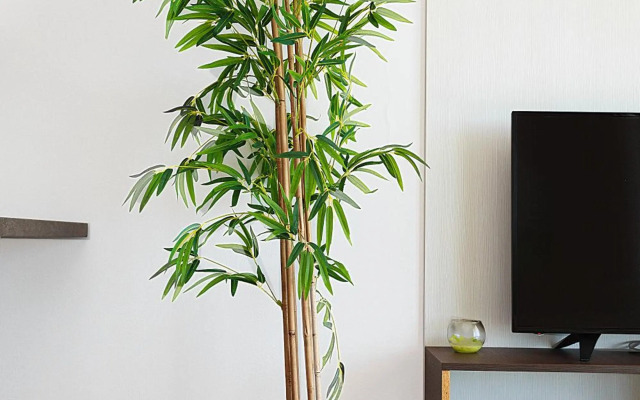 Altezza 14 Premium Tophill best view and pool