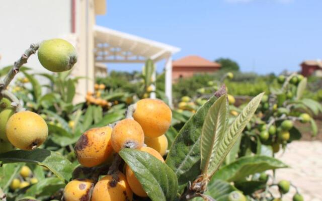 Borgo Aranci - Monolocale Salice - 17A