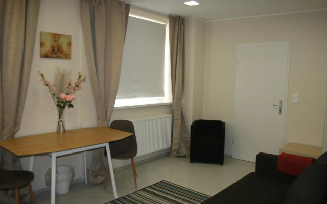 Vienna City Loft Apartment