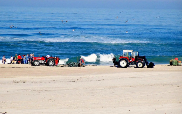 O Cantinho Entre a Ria e o Mar