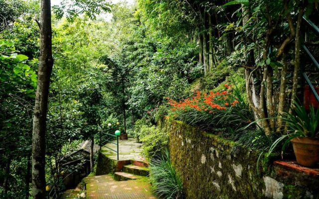 National Mount View Resort Pvt Ltd