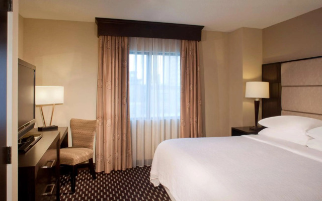 Embassy Suites by Hilton Houston Near the Galleria