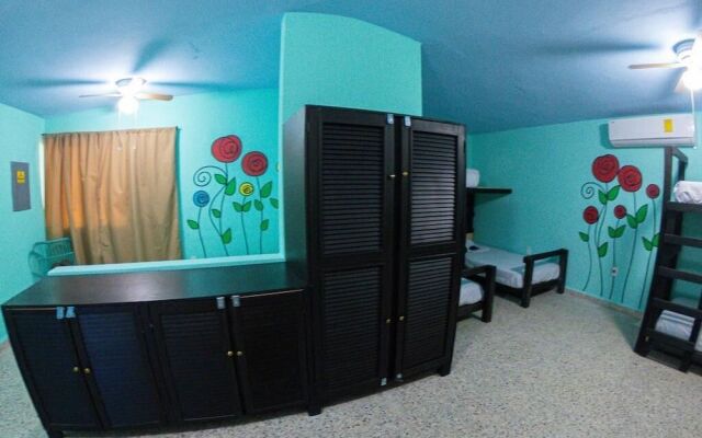 Royal Honey Hostel