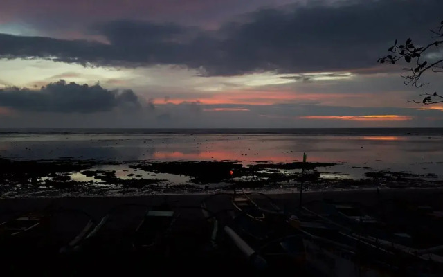 The Reef 077