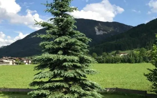 Pension Brixen im Thale