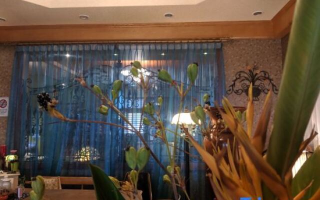 The Dew Hostel